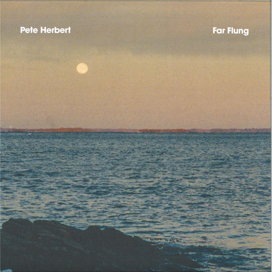 Pete Herbert - Far Flung (VINYL 12" Music For Swimming Pools MFSP011 2026) | NEW - DEEP HOUSE *NEW*