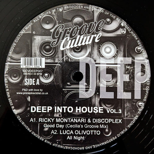 Deep Into House Vol. 3 (VINYL 12") | Mint (M) Mint (M) - DEEP HOUSE *NEW*