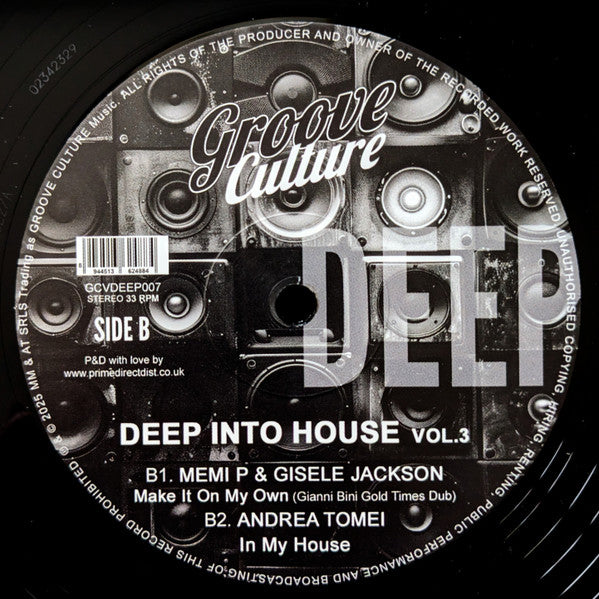 Deep Into House Vol. 3 (VINYL 12") | Mint (M) Mint (M) - DEEP HOUSE *NEW*