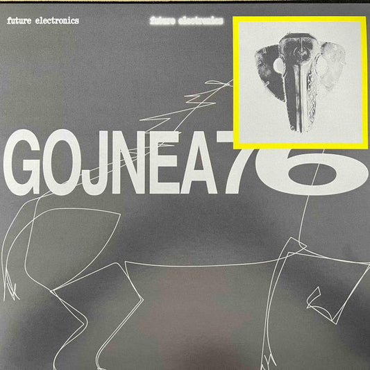 Punisher Braila (VINYL) | Mint (M) Mint (M) - DEEP HOUSE *NEW*
