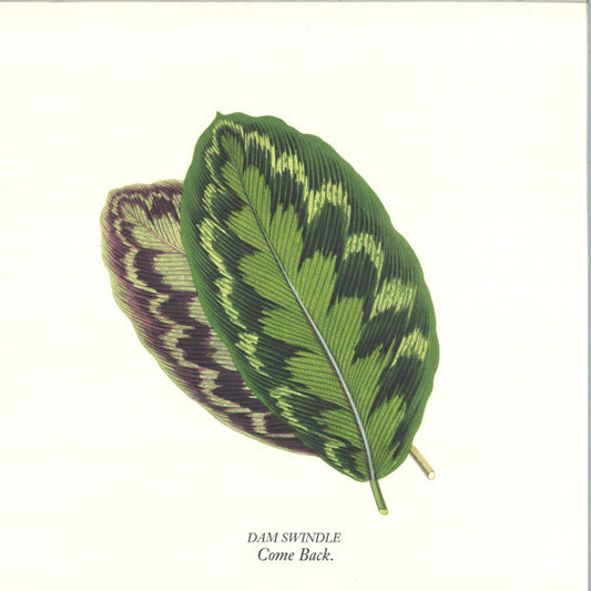 Dam Swindle - Come Back (GREEN VINYL 12" Aus Music AUS200B 2024) | NEW - DEEP HOUSE *SEALED/COLOR*