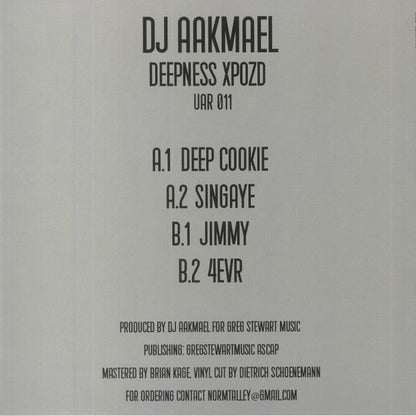 Deepness Xpozd (12" VINYL) | Mint (M) Mint (M) - DEEP HOUSE *SEALED*