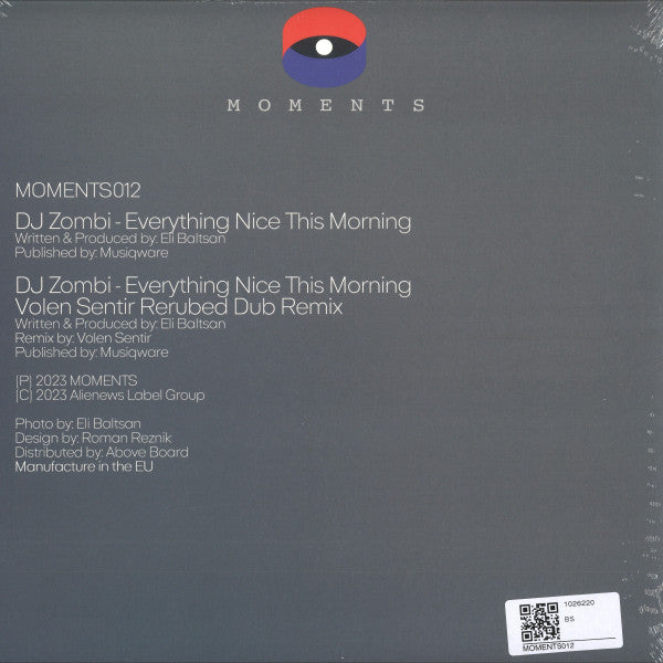 Everything Nice This Morning (VINYL) | - DEEP HOUSE *SEALED*