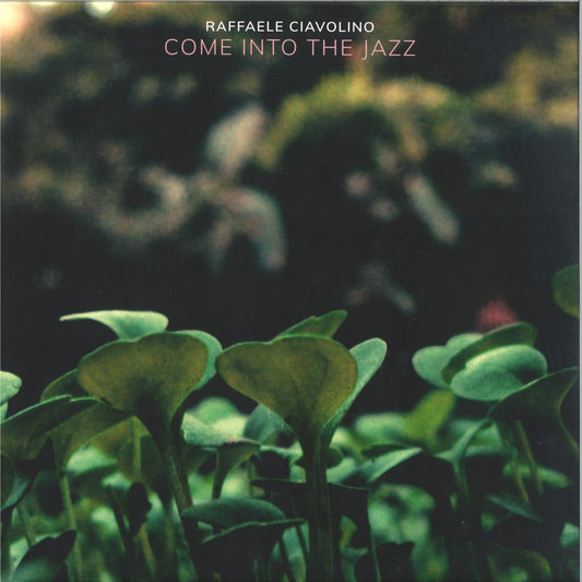 Raffaele Ciavolino - Come Into The Jazz (VINYL 2xLP GROOVE CULTURE GCVDEEP009 2026) *DINGED* | NEW Mint (M) Excellent+ (EX+) - DEEP HOUSE *SEALED*