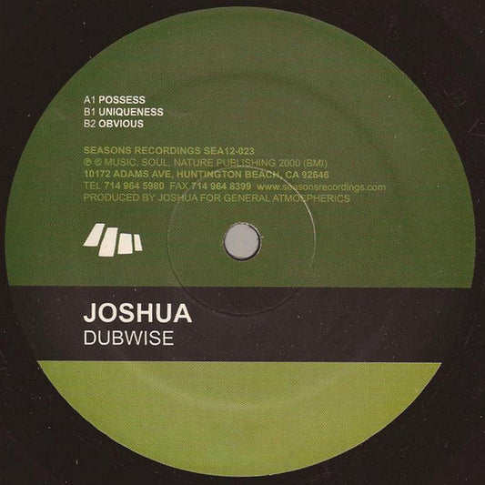 Dubwise (12") | Excellent+ (EX+) Excellent+ (EX+) - DEEP HOUSE / USED *EXCELLENT+*