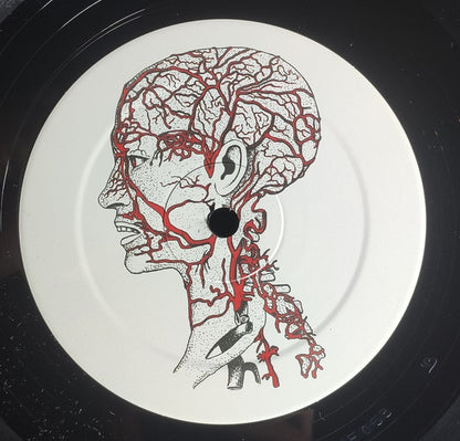 Circulation EP (VINYL) | Excellent (EX) Near Mint (NM or M-) - DEEP HOUSE / USED *EXCELLENT*