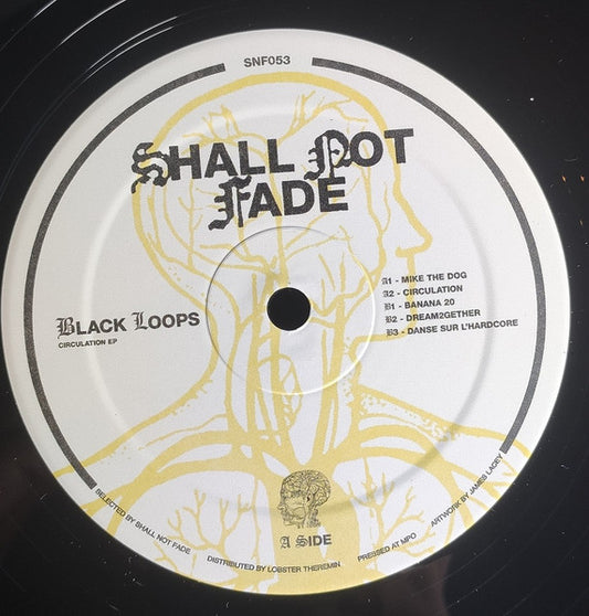 Circulation EP (VINYL) | Excellent (EX) Near Mint (NM or M-) - DEEP HOUSE / USED *EXCELLENT*