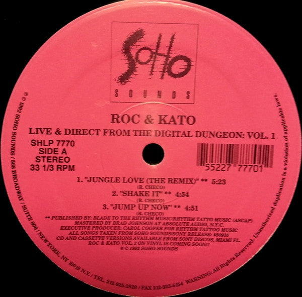 Roc & Kato - Live And Direct From The Digital Dungeon: Vol. 1 | Near Mint (NM) Generic - DEEP HOUSE / USED *NEAR MINT*