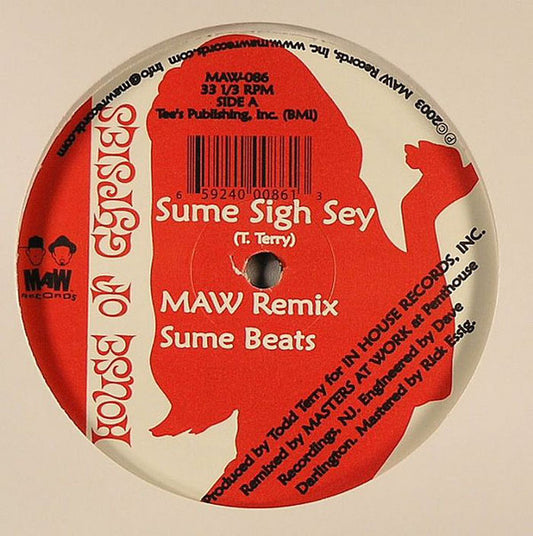 House Of Gypsies - Sume Sigh Sey | Very Good Plus (VG+) Generic - DEEP HOUSE / USED *VERY GOOD+*