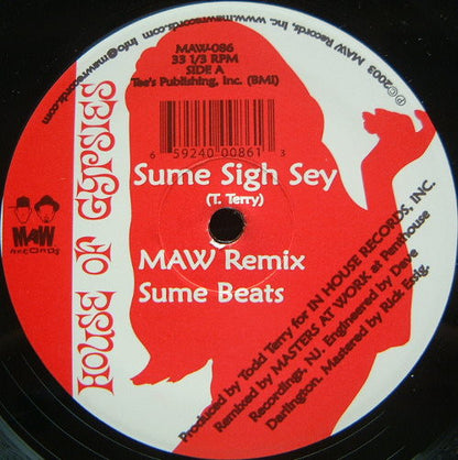 House Of Gypsies - Sume Sigh Sey | Very Good Plus (VG+) Generic - DEEP HOUSE / USED *VERY GOOD+*