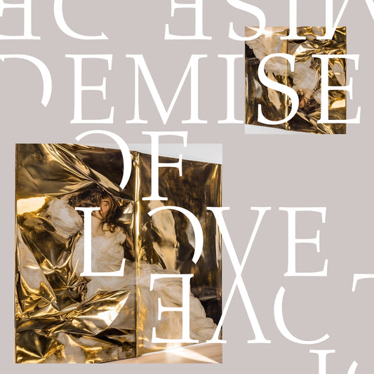 Demise Of Love |