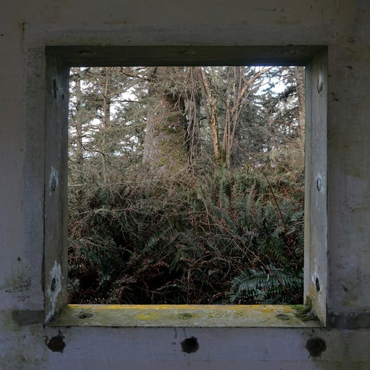 DEREK HUNTER WILSON - ScuLPtures [LP] |