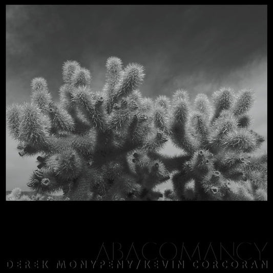 Derek Monypeny And Kevin Corcoran - Abacomancy [LP] |