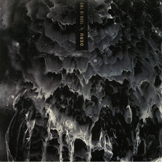 Torn In Two | Mint (M) Mint (M) - AMBIENT *SEALED*