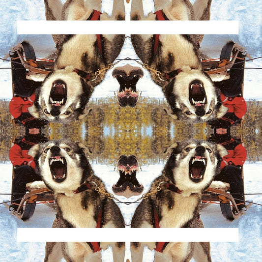 Ii |