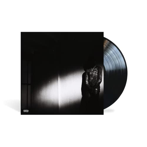 Destroy Lonely - NO STYLIST (VINYL LP Opium/Interscope B0036789-01) | NEW - HIP HOP *NEW*