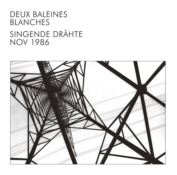 Singende Drahte |