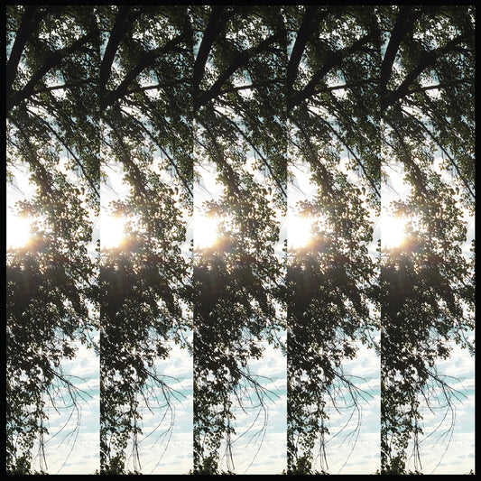 Pontiak - Dialectic of Ignorance (CD) |