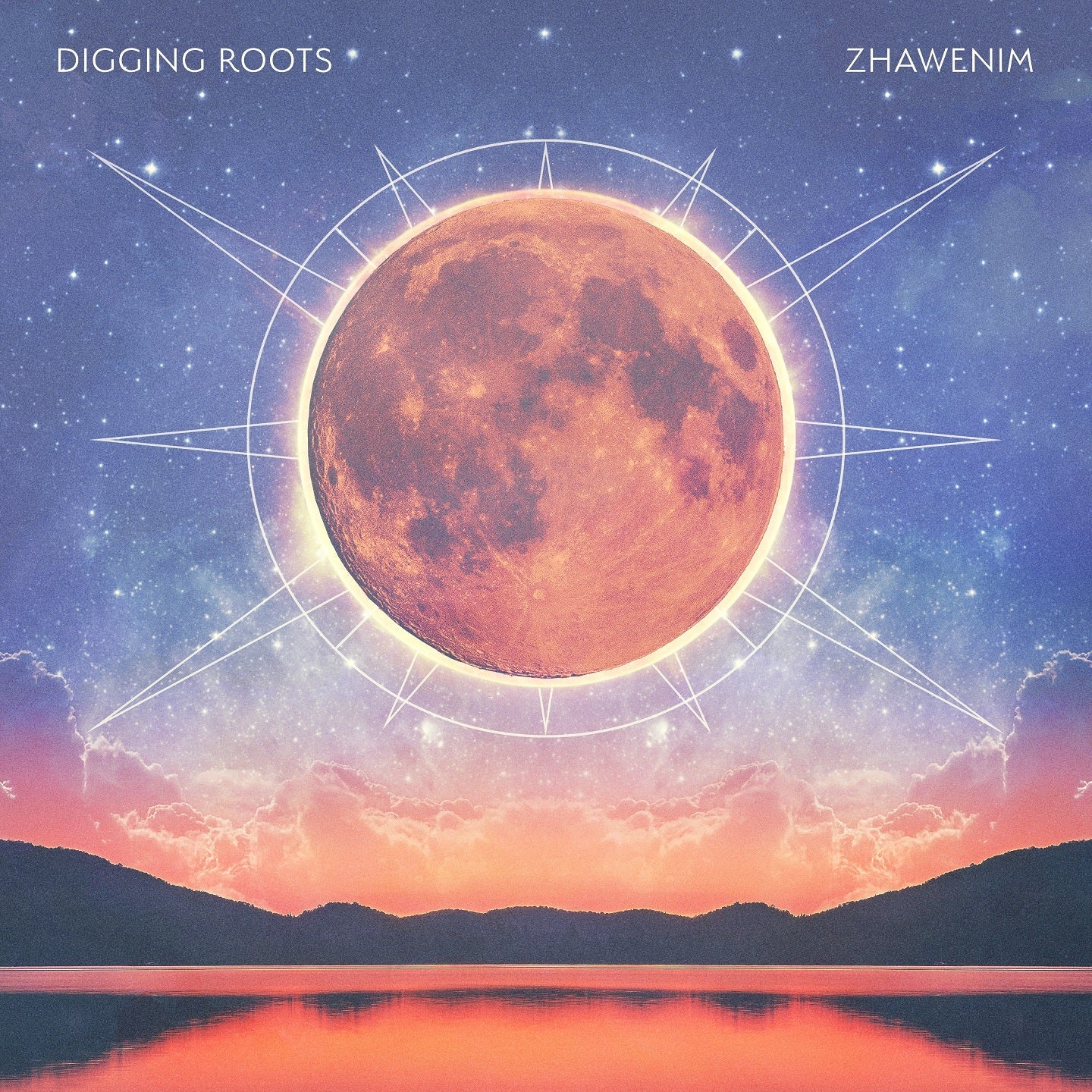 Digging Roots - Zhawenim (VINYL LP) | NEW - BLUES *NEW*