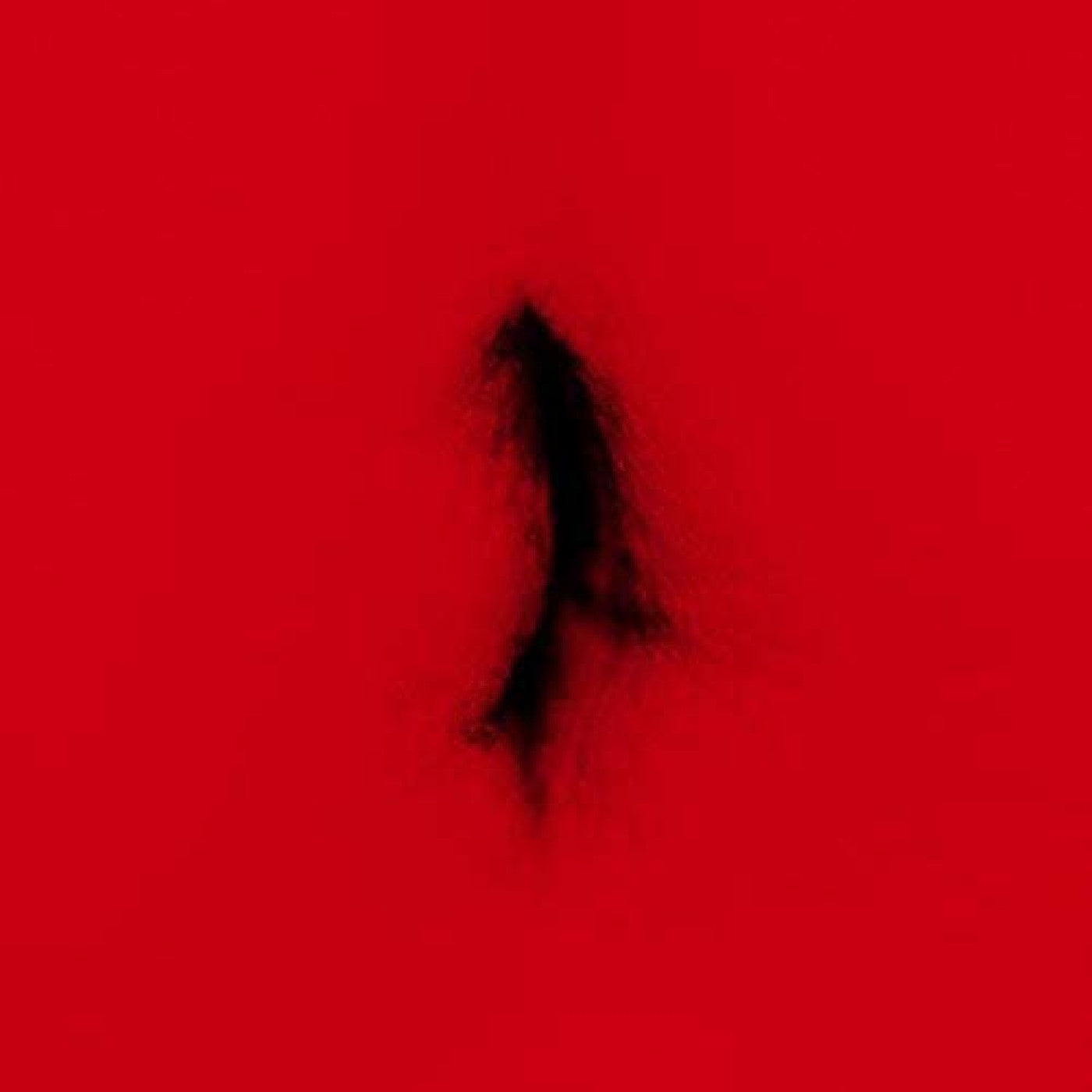 Dingwei - Untied |