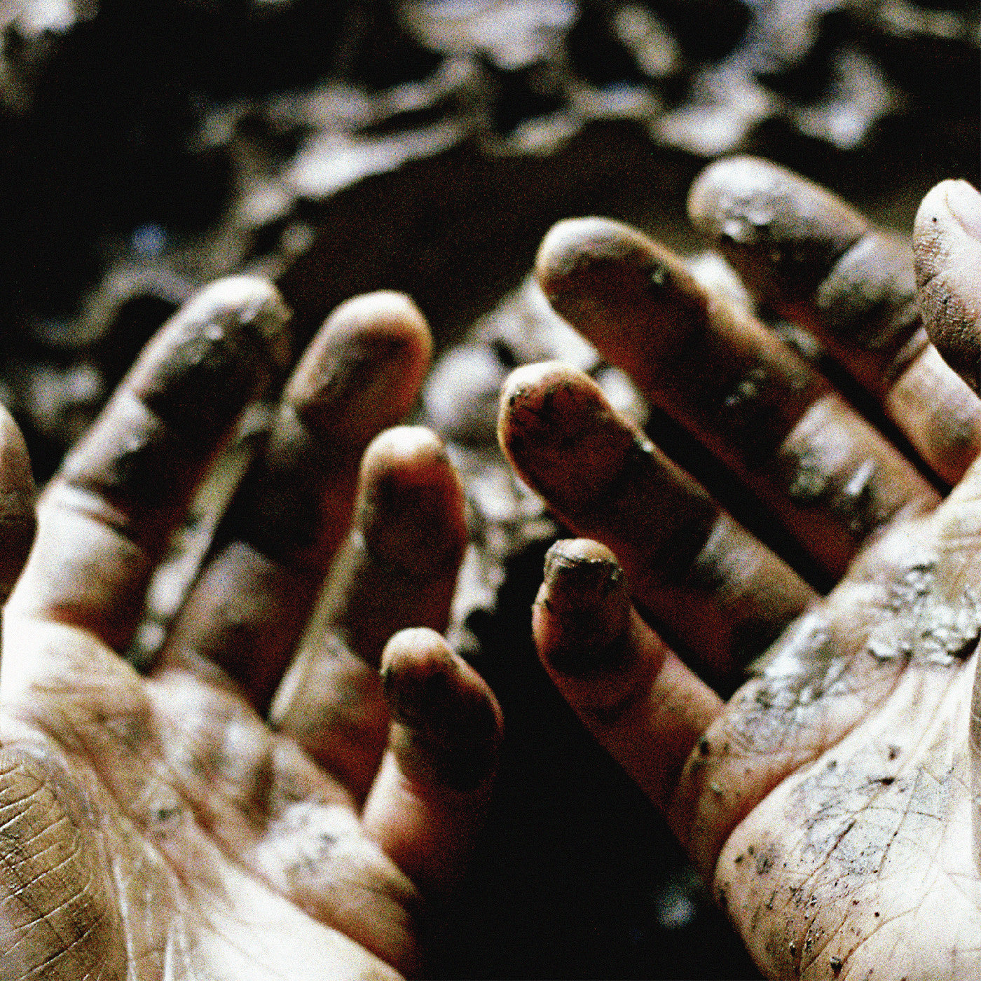 Dis Fig - What To Make Of These Mortal Hands |