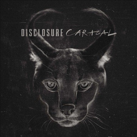 Disclosure - Caracal (CD) |