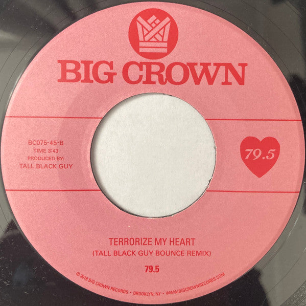 Terrorize My Heart (Disco Dub) | Mint (M) Generic - DISCO *NEW/45*