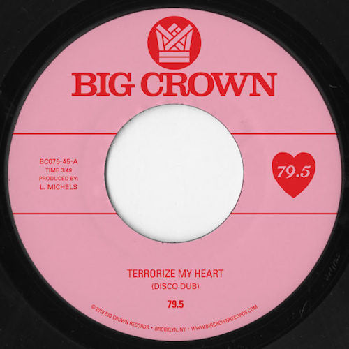 Terrorize My Heart (Disco Dub) | Mint (M) Generic - DISCO *NEW/45*