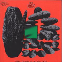 Sex Having Disco (VINYL 12") | Mint (M) Mint (M) - DISCO *NEW*