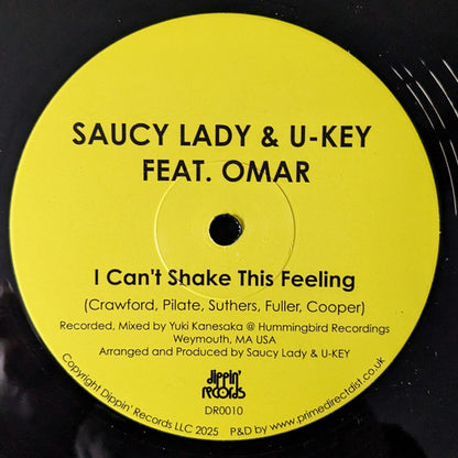 I Can't Shake This Feeling (VINYL) | Mint (M) Mint (M) - DISCO *NEW*