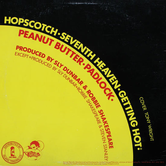 Larry Levan - Padlock (Special Mixes) (vinyl) | Near Mint (NM) Near Mint (NM) - DISCO / USED *NEAR MINT*