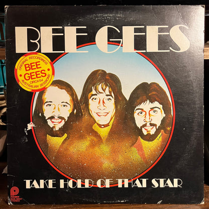 Take Hold Of That Star (VINYL) | Near Mint (NM) Very Good (VG) - DISCO / USED *NEAR MINT*