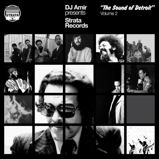 Dj Amir Presents Strata Records - The Sound Of Detroit Vol. 2 [3LP] |