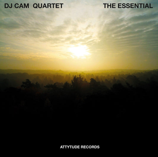 DJ Cam Quartet - The Essential |