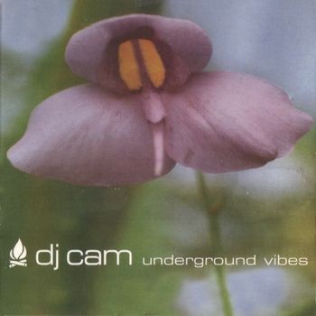 DJ CAM - Underground Vibes |