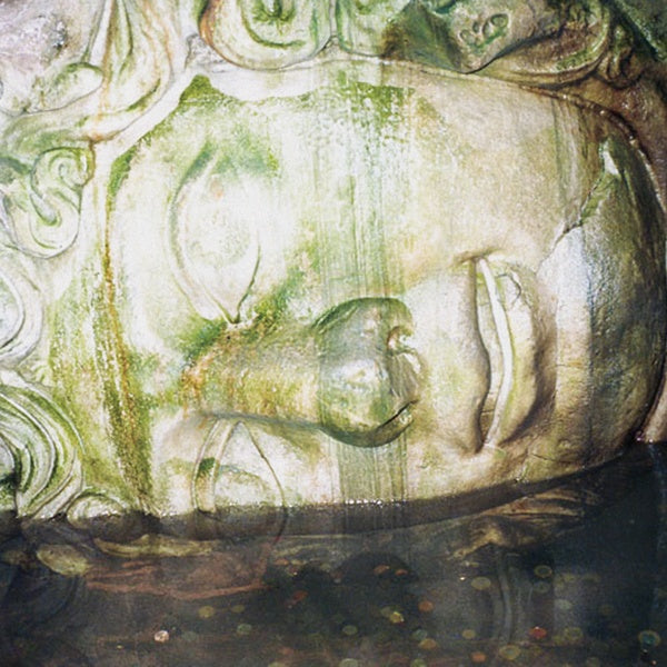 DOC SLEEP - Birds (in my mind anyway) |