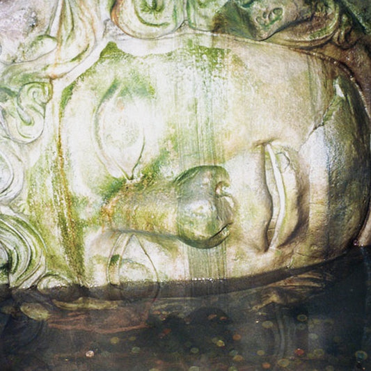 DOC SLEEP - Birds (in my mind anyway) |