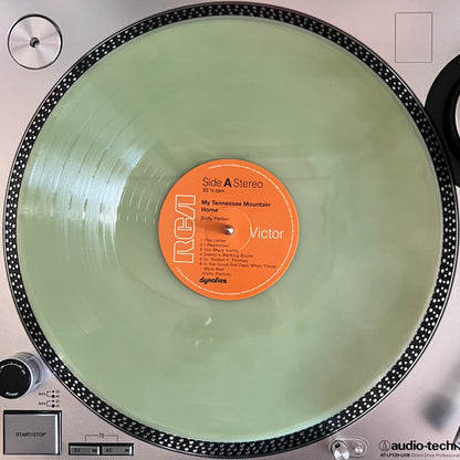 My Tennessee Mountain Home | Mint (M) Mint (M)