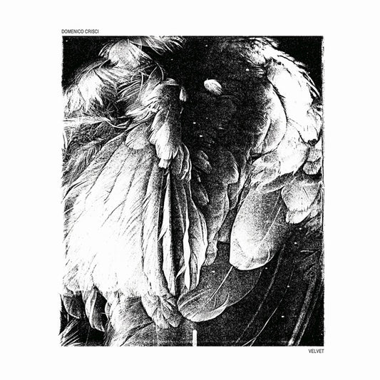 DOMENICO CRISCI - Velvet |