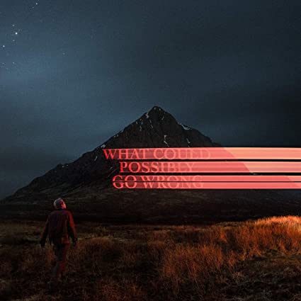What Could Possibly Go Wrong [Explicit Content] (140 Gram Vinyl, Gatefold LP Jacket, Poster) | Mint (M) Mint (M) - ALT/INDIE *SEALED*