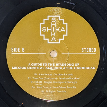A Guide To The Birdsong Of Mexico, Central America, & The Caribbean | Mint (M) Mint (M)
