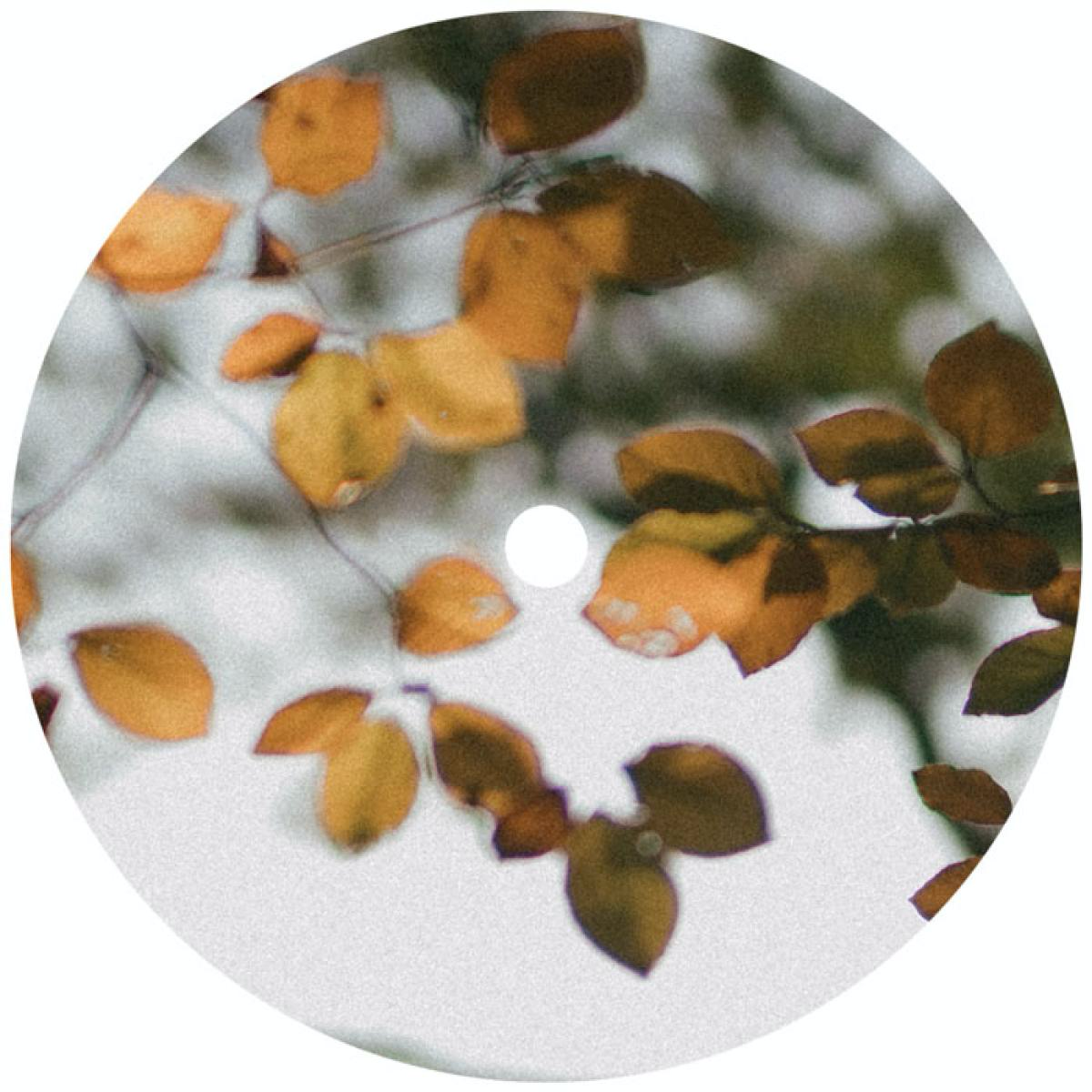 Scrimshire - (PRESALE 6/26/26) Bring Our Light To Every Corner (VINYL) | Mint Mint - DOWNTEMPO *NEW*