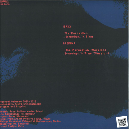 Igaxx, Gropina - (PRESALE 5/18/26) The Perception (VINYL) | Mint (M) Mint (M) - DOWNTEMPO *NEW*