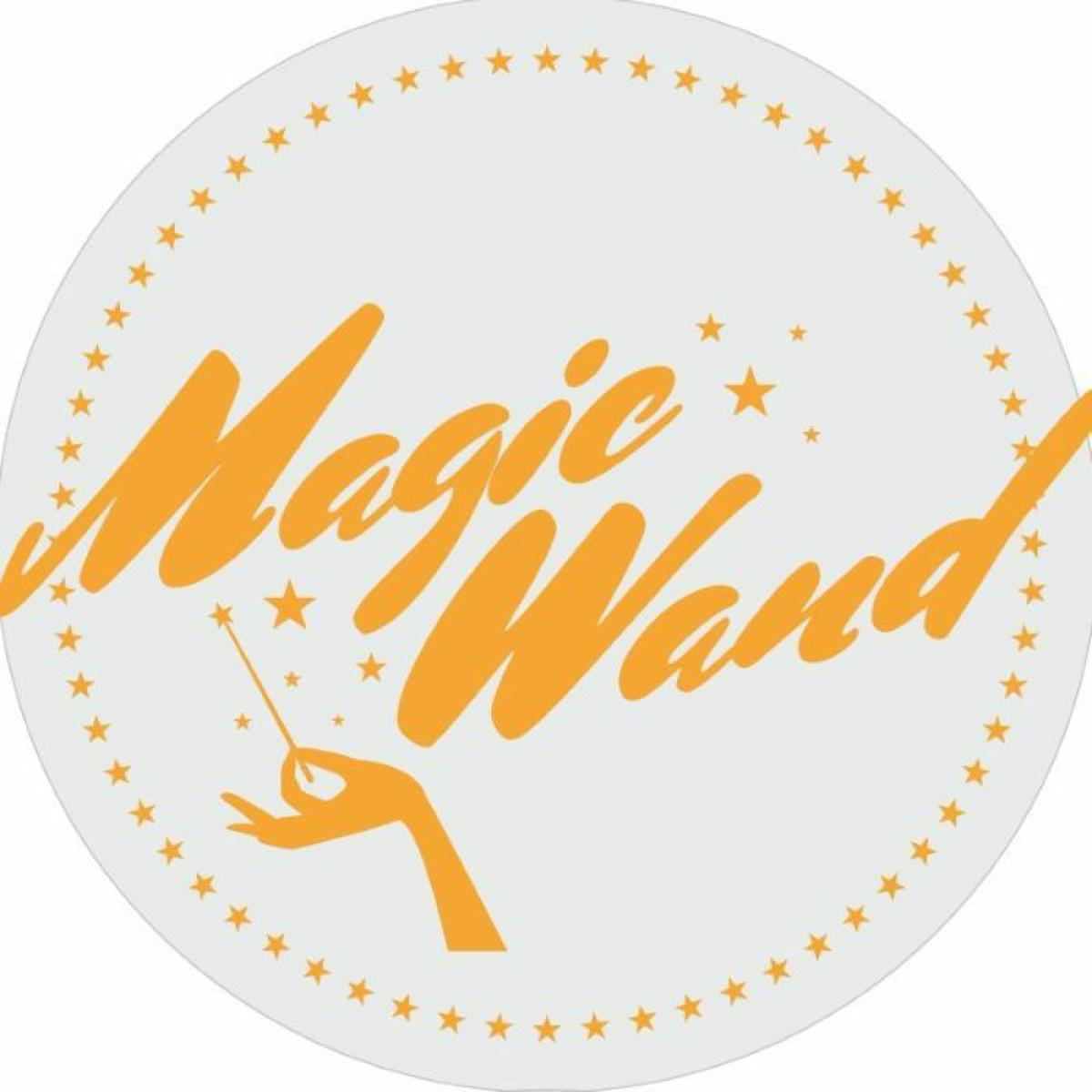 Pete Blaker - (PRESALE TBD) Magic Wand (VINYL) | Mint (M) Mint (M) - DOWNTEMPO *NEW*
