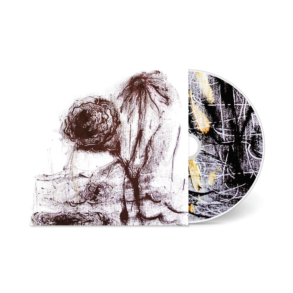 WILLIAM BASINSKI - (PRESALE 11/13/26) Passing the Cup of Sorrows (VINYL LP) | NEW - DOWNTEMPO *NEW*