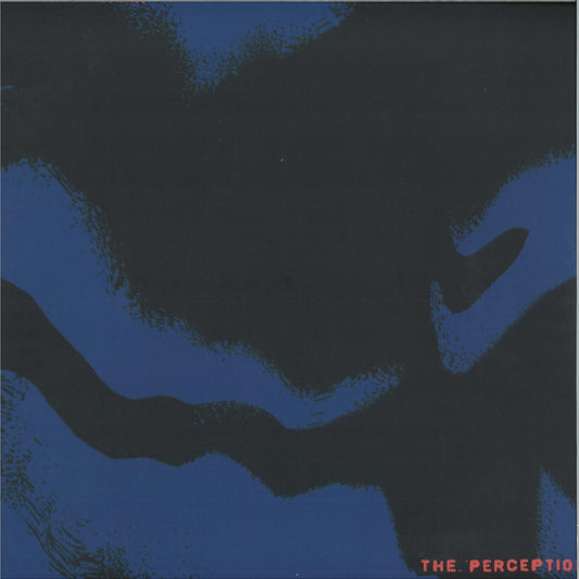 Igaxx, Gropina - The Perception (VINYL 12" PAESAGGI RECORDS PSGG006) | NEW Mint (M) Mint (M) - DOWNTEMPO *NEW*