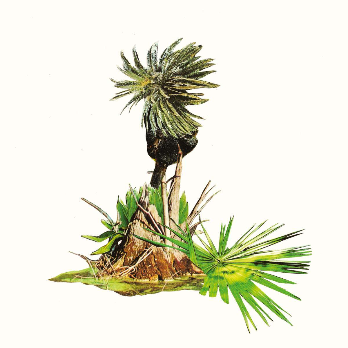 Lagoss - Música para Plátanos (VINYL) | Mint (M) Mint (M) - DOWNTEMPO *NEW*