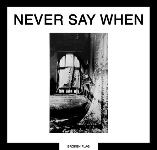 Various Artists - (PRESALE 7/3/26) Never Say When (2xVINYL) | Mint (M) Mint (M) - DOWNTEMPO *NEW*