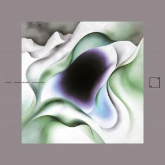 (PRESALE 5/4/26) SPACIOUS HEART LP (2xVINYL) | Mint (M) Mint (M) - DOWNTEMPO *NEW*
