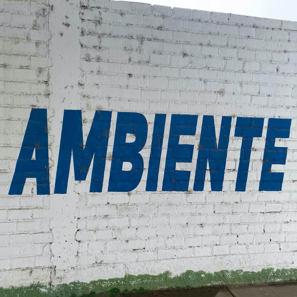 (PRESALE 5/8/26) AMBIENTE (VINYL) | Mint (M) Mint (M) - DOWNTEMPO *NEW*